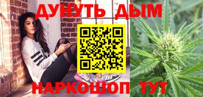 эйфоретик Славгород