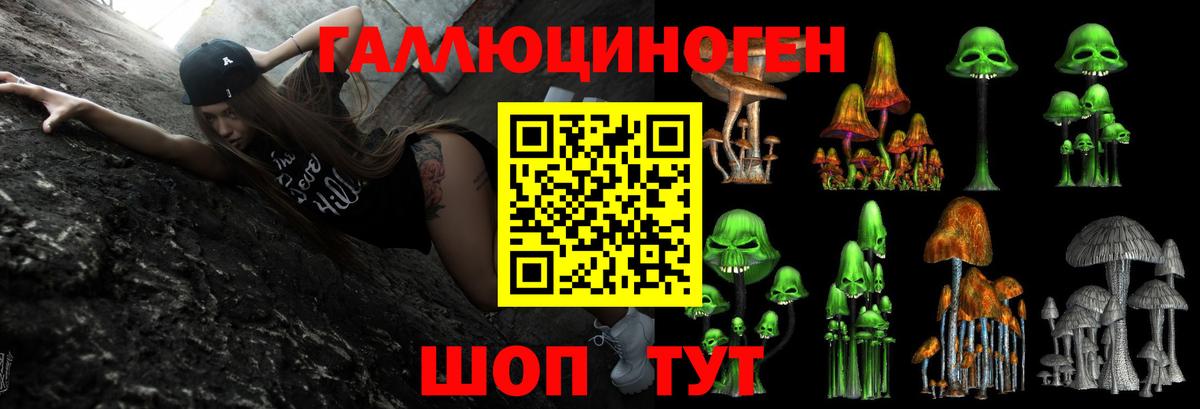 Псилоцибиновые грибы ЛСД  Вход с VPN  Псилоцибиновые грибы ЛСД  Отрадный 